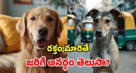 ఏసీని వరుసగా ఎన్ని గంటలు వాడొవచ్చు? ఎక్కువ సేపు ఆన్ చేస్తే ఏమవుతుందో తెలుసా?