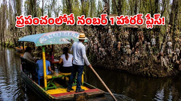 ఏంట్రా బాబూ ఈ వింత? చెట్లకు వేలాడే బొమ్మల వెనుక ఇంత పెద్ద కథ ఉందా?