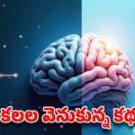 మనం కనే కలల్లో 95 శాతం ఎందుకు డిలీట్ అవుతాయి? మెదడులో జరిగే అతిపెద్ద సాఫ్ట్‌వేర్ అప్‌డేట్!