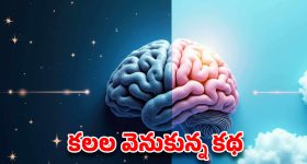 మనం కనే కలల్లో 95 శాతం ఎందుకు డిలీట్ అవుతాయి? మెదడులో జరిగే అతిపెద్ద సాఫ్ట్‌వేర్ అప్‌డేట్!