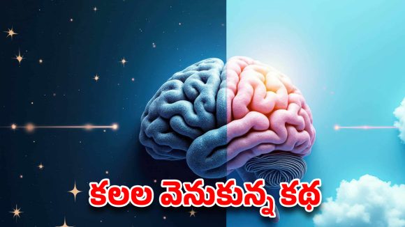 మనం కనే కలల్లో 95 శాతం ఎందుకు డిలీట్ అవుతాయి? మెదడులో జరిగే అతిపెద్ద సాఫ్ట్‌వేర్ అప్‌డేట్!