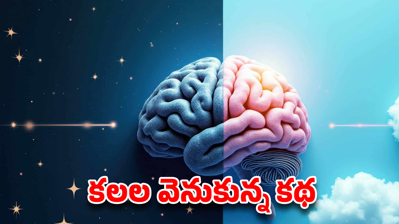Dream Science: మనం కనే కలల్లో 95 శాతం ఎందుకు డిలీట్