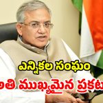 ఓటర్లకు బిగ్ అలర్ట్.. ఏపీ, తెలంగాణ సహా 16 రాష్ట్రాల్లో SIR.. ఆ తేదీల్లో ఇంటింటి సర్వే