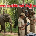 గజరాజులకు ‘ఆధార్’.. ఏపీ అటవీశాఖ వినూత్న ముందడుగు!