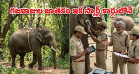 గజరాజులకు 'ఆధార్'.. ఏపీ అటవీశాఖ వినూత్న ముందడుగు!