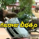 కేరళలో ఏనుగు బీభత్సం.. కారు , బైక్లను తొక్కిపడేసి..