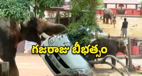కేరళలో ఏనుగు బీభత్సం.. కారు , బైక్లను తొక్కిపడేసి..