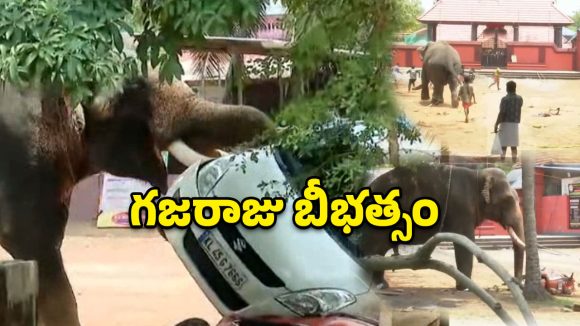 కేరళలో ఏనుగు బీభత్సం.. కారు , బైక్లను తొక్కిపడేసి..