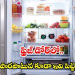ఫ్రిజ్ డోర్ సెల్ఫ్స్‌లో ఏం స్టోర్ చేయాలో తెలుసా ? 99 % మందికి చేసే పొరపాట్లు ఇవే