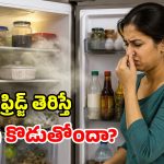 ఫ్రిడ్జ్ తెరవగానే బ్యాడ్ స్మెల్ వస్తోందా? ఈ 5 సింపుల్ ట్రిక్స్‌తో.. చెక్ పెట్టండి!