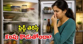 ఫ్రిడ్జ్ తెరవగానే బ్యాడ్ స్మెల్ వస్తోందా? ఈ 5 సింపుల్ ట్రిక్స్‌తో.. చెక్ పెట్టండి!