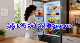సమ్మర్‌లో ఫ్రిడ్జ్ కరెంట్ బిల్లు హాఫ్ అవ్వాలంటే.. ఈ సింపుల్ చేంజెస్ చేసుకుంటే చాలు!