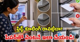 2026 సుజుకి బర్గ్మాన్ స్ట్రీట్ మైలేజ్ టెస్ట్.. సిటీ, హైవేలో ఎంత ఇచ్చిందంటే?