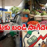 పెట్రో బాంబు పేలింది.. కిరాణా కొట్టు నుంచి క్యాబ్ ప్రయాణం వరకు.. ధరలు పెరగనున్న లిస్ట్ ఇదే!