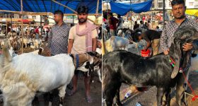 Podarillu Today Episode : చక్రీ మాటకు ప్రతాప్ మైండ్ బ్లాక్.. మహా గదిలోకి చక్రీ.. కన్నతల్లి కోసం కన్నా కన్నీళ్లు.. ఇదే ట్విస్ట్