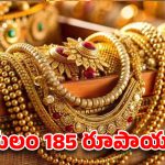 బంగారం కొనాలంటే లక్షలు అక్కర్లేదు.. రూ.185 చాలు.. సోషల్ మీడియాని షేక్ చేస్తున్న వీడియో