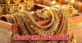 విదేశీ ప్రయాణం కోసం ఓ ఫ్యామిలీ చేసిన క్రేజీ హంగామా... ఓటీటీలోకి నేరుగా వచ్చేసిన పంజాబీ కామెడీ డ్రామా