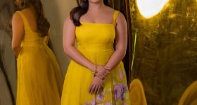 Gouri Krishan : యెల్లో డ్రెస్ లో మైండ్ బ్లాక్ చేస్తున్న గౌరీ.. గ్లామర్ షో నెక్స్ట్ లెవల్..