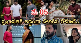 కేరళలో కాంగ్రెస్ యువనేత సంచలనం.. థామస్ దెబ్బకు కమ్యూనిస్టుల కంచుకోట బద్దలు, తొలిసారి చట్టసభల్లోకి