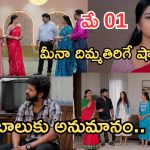 Gundeninda GudiGantalu Today episode: మీనాకు దిమ్మతిరిగే షాక్.. ప్రభావతి హడావిడి.. బాలుకు నిజం చెప్పిన మీనా..