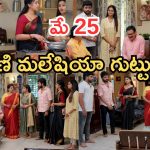 Gundeninda GudiGantalu Today episode: ప్రభావతికి శృతి స్ట్రాంగ్ కౌంటర్.. బాలు ఇంటికి గెస్ట్.. అడ్డంగా ఇరుక్కున్న రోహిణి..