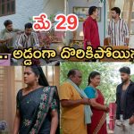 Illu Illalu Pillalu Today Episodes: వేరే కాపురం పెట్టిన అన్నయ్యకు కష్టాలు.. నిజం తెలుసుకున్న నర్మదా..భాగ్యంకు షాక్..