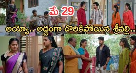 Illu Illalu Pillalu Today Episodes: వేరే కాపురం పెట్టిన అన్నయ్యకు కష్టాలు.. నిజం తెలుసుకున్న నర్మదా..భాగ్యంకు షాక్..