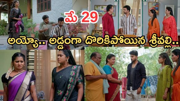 Illu Illalu Pillalu Today Episodes: వేరే కాపురం పెట్టిన అన్నయ్యకు కష్టాలు.. నిజం తెలుసుకున్న నర్మదా..భాగ్యంకు షాక్..
