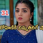 Gundeninda GudiGantalu Today episode: హనీమూన్ కు బాలు, మీనా..మలేషియా ట్రిప్ కు ప్లాన్.. ఇది కదా అసలు ట్విస్ట్..