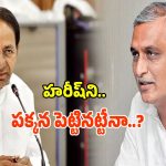 హరీష్ రావుని వాడి వదిలేస్తున్నారా.. గులాబీ బాస్ మౌనం వెనుక ఉన్న అసలు చిట్టా అదేనా..?