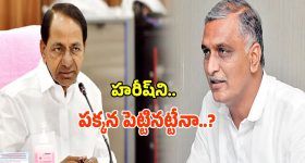 అద్దాల మేడలపై ప్రేమ.. పేదలపై నిర్లక్ష్యం.. బాబుపై రజిని ఫైర్!