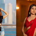 బిగ్ బాస్ బ్యూటీ హమీద నెలకు ఎంత సంపాదిస్తుందో తెలుసా..?
