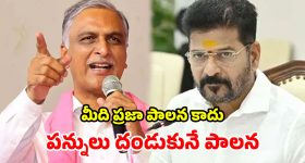 హైదరాబాద్‌లో షిన్‌ చాన్ సందడి.. పిల్లలకు ఫుల్ ఎంటర్‌ టైన్‌ మెంట్!