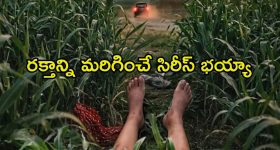 వైట్‌హౌస్ సమీపంలో కలకలం..  30 రౌండ్లు కాల్పులా? రంగంలోకి  సీక్రెట్‌ సర్వీస్‌ అధికారులు, మూడోసారి