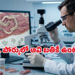 పంది మాంసం తింటున్నారా? దాని జబ్బులన్నీ మీకే.. ఎందుకంటే?