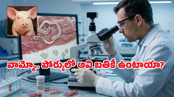 పంది మాంసం తింటున్నారా? దాని జబ్బులన్నీ మీకే.. ఎందుకంటే?