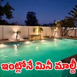 నట్టింట్లో స్విమ్మింగ్‌ పూల్.. ఇది కదా అసలైన లగ్జరీ అంటే!