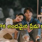 సిటీ పిల్ల పల్లెటూరికి… మనసుకు ప్రశాంతతను ఇచ్చే కొరియన్ లవ్ స్టోరీ