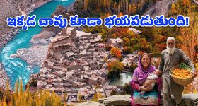 రోజువారీ ప్రయాణానికి బెస్ట్ హైబ్రిడ్ కార్లు.. తక్కువ ఖర్చుతో ఎక్కువ మైలేజ్!