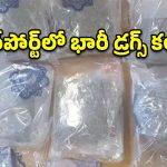 శంషాబాద్ ఎయిర్‌పోర్ట్‌లో భారీ డ్రగ్స్ కలకలం.. రూ. 7 కోట్ల హైడ్రోఫోనిక్ గంజాయి సీజ్!