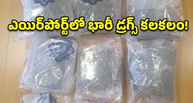 ఆంధ్రాలో అట్టర్ ప్లాప్ అయిన ప్రయోగం ఇక్కడెందుకు?: జాన్​ వెస్లీ!