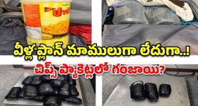 ఇవి తింటే.. నీరసం, అలసట రమ్మన్నా రావు తెలుసా ?