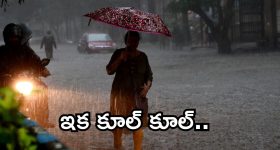 సల్మాన్ ఖాన్ విలన్ గా పుష్ప నటుడు.. వేట మొదలు పెట్టిన వంశీ పైడిపల్లి!