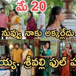Illu Illalu Pillalu Today Episodes: ఇంట్లోంచి వెళ్లిపో రా.. సెంటిమెంట్ సీన్ తో కన్నీళ్లు.. శ్రీవల్లి సేఫ్..