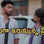 Illu Illalu Pillalu Today Episodes: తోడి కోడళ్ళను ఆడుకొనేందుకు వల్లి స్కెచ్.. అడ్డంగా ఇరుక్కున్న ధీరజ్.. నర్మదకు అనుమానం..