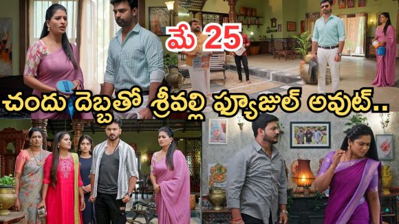 Illu Illalu Pillalu Today Episodes: నర్మద దెబ్బకు సాగర్ షాక్.. రామరాజు కు కొడుకు కౌంటర్.. చందుకు నిజం చెప్పిన వల్లి..