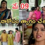 Illu Illalu Pillalu Today Episodes: వల్లి కాపురంలో సుకన్య చిచ్చు.. భద్రకు తల్లి వార్నింగ్.. నిజం చెప్పిన ప్రేమ..