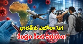 Korra Meenu: తెలంగాణలో కొర్రమీను చాపకు కేరాఫ్‌గా ఆ జిల్లా..?
