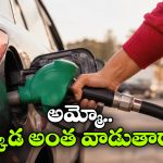 పెట్రోల్ వినియోగంలో గోవా టాప్.. మరీ తక్కువ వాడే స్టేట్ ఏదో తెలుసా?