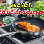 ఇండక్షన్ స్టవ్ వాడుతున్నారా? చాలామందికి తెలియని షాకింగ్ నిజాలు!